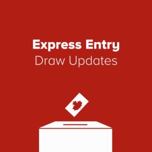Express Entry: Back-to-Back CEC and PNP Draws