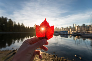 Canada Creates New Immigration Pathways for Essential Workers, International Graduates