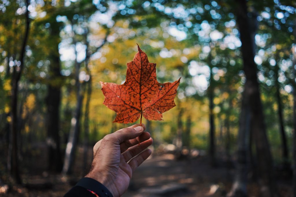 Survey: Canada's View on Immigration Remains Positive