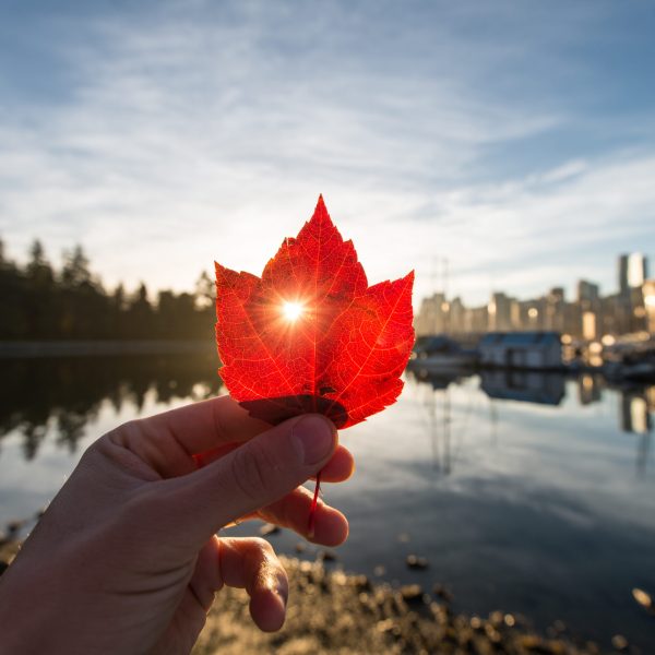 Canada Creates New Immigration Pathways for Essential Workers, International Graduates